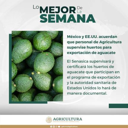 Acuerdo de México y EU sobre la supervisión del aguacate.