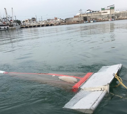 Microplásticos: el alimento tóxico que amenaza la vida en los mares