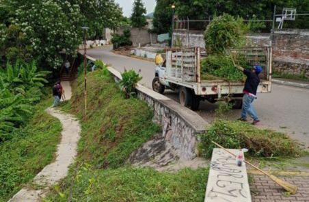 $!Limpian Laguna del Iguanero para evitar criaderos de mosco del dengue, en Rosario