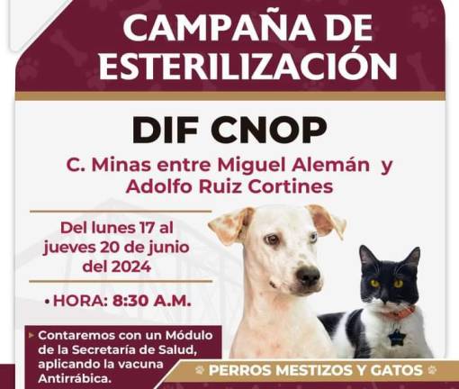 Habrá campaña de esterilización de perros y gatos en el DIF CNOP de Culiacán