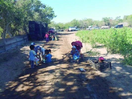 $!Más de 3 mil menores, fuera de riesgo de trabajo infantil en el País: World Vision