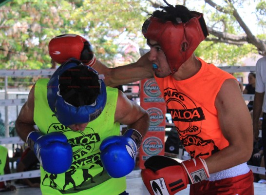 Entregan medallas a los mejores boxeadores del Torneo Puro Sinaloa