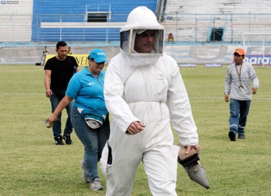 Equipo especializado llegó a atender la situación.