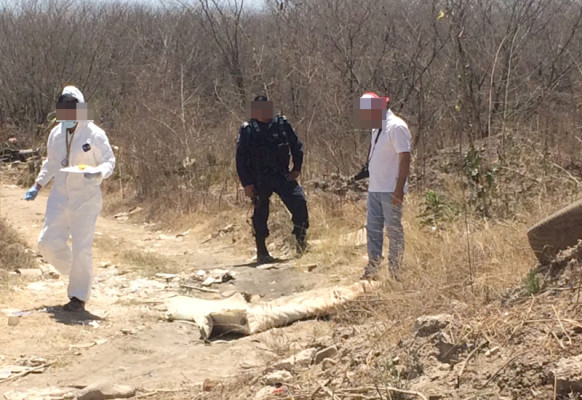 En la colonia Piggy Back, en Culiacán, fue localizado un hombre asesinado a balazos.