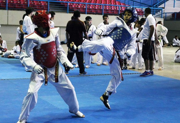 Ganan Gilberto Juárez Y Arely Ibarra elección de comités de taekwondo y zumba, respectivamente