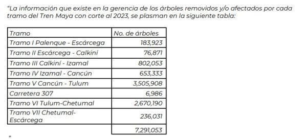 $!Reconoce Gobierno de AMLO que taló más de 7 millones de árboles para el Tren Maya