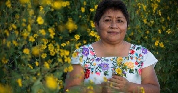 Leydy Pech, indígena maya que luchó contra Monsanto, gana premio ambiental global