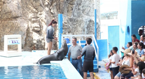 Nuevo acuario de Mazatlán reenfocará interacción con especies marinas