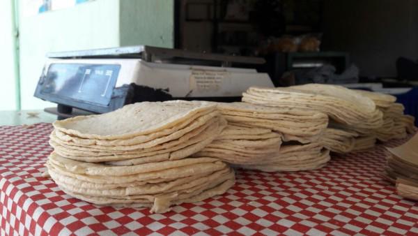 Alerta Diputado sobre posible incremento en el precio de la tortilla; kilo podría alcanzar los $25