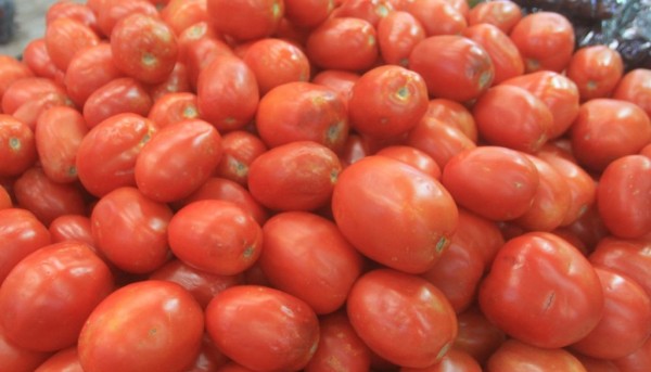 Baja hasta 6 pesos el tomate en mercados de Culiacán