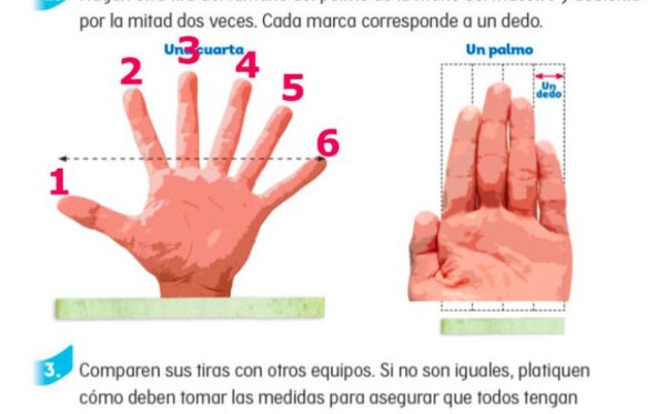 Corrige SEP la mano de seis dedos