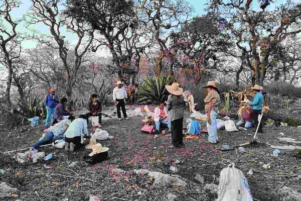 $!Fuego consume Reserva de Biósfera Tehuacán-Cuicatlán, Oaxaca; habitantes exigen acciones para controlarlo