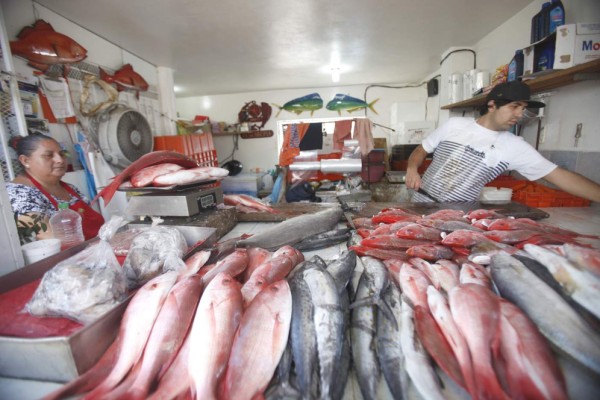 Esperan repunte de ventas de pescado en Mazatlán