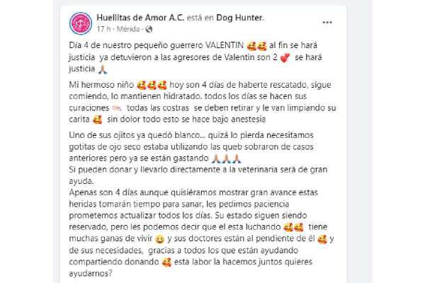 $!Detienen a dos mujeres por quemar a perrito que se comió un huevo en Playa del Carmen