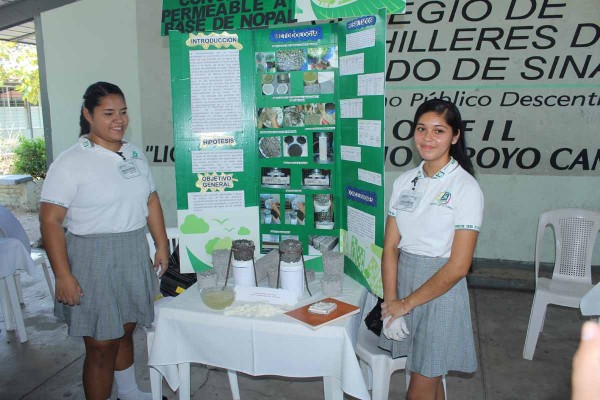 Crean con baba de nopal material de construcción