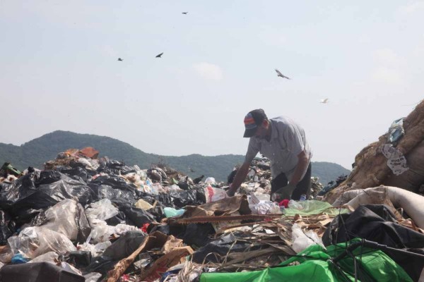 Residuos sólidos, un problema de contaminación en Sinaloa