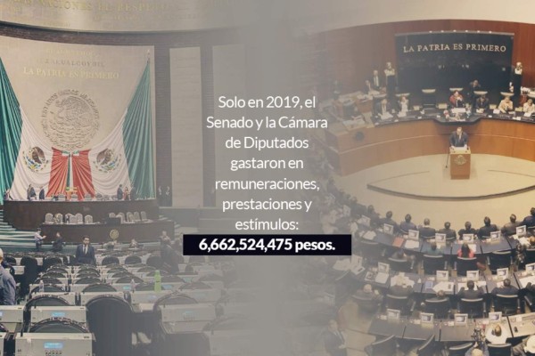 Diputados y senadores gastaron millones en alimentos, mobiliario y herramientas en 2019