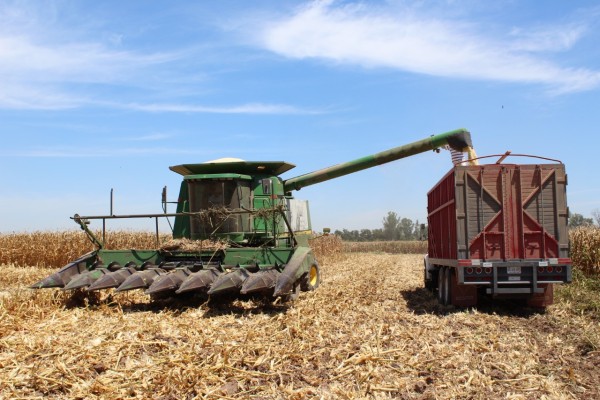 El coronavirus merma el 50 por ciento de consumo de productos del campo sinaloense