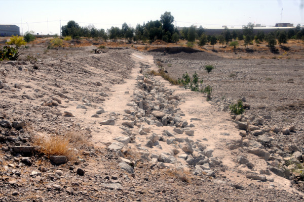 El cambio climático en México obliga a miles al éxodo interno… y será peor, alertan académicos