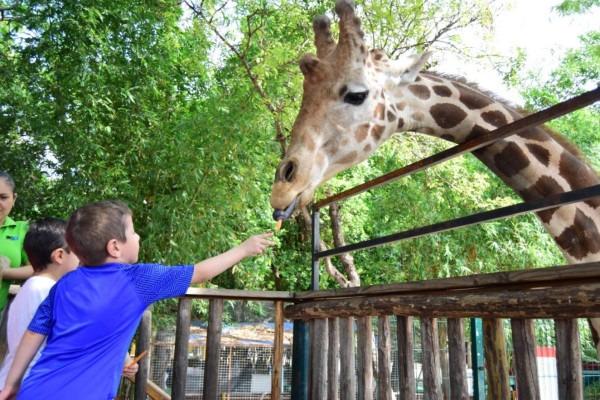 $!Reúne Zoológico de Culiacán a familias durante estas vacaciones de verano