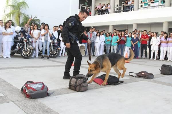 $!Denuncian que binomios de la Comisión Estatal de Búsqueda no tienen entrenador y están en malas condiciones