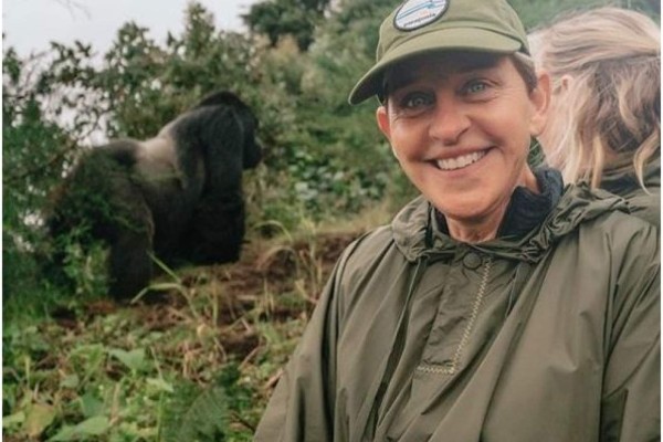 Ellen DeGeneres comparte encuentro con gorilas