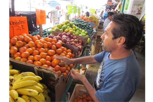 Aumentan ventas de mandarina