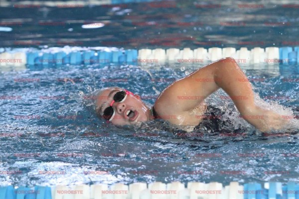 Los colegios y escuelas de natación han dado buenos frutos.