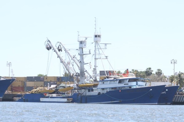 En Mazatlán, ponen en cuarentena a tripulantes de dos barcos atuneros