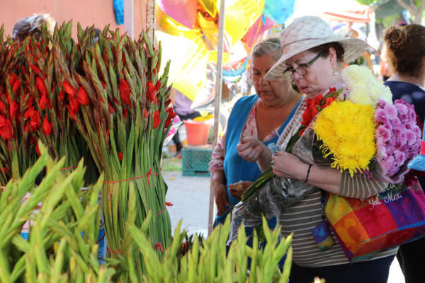 Anuncian precio de flores para 1 y 2 de noviembre en Culiacán