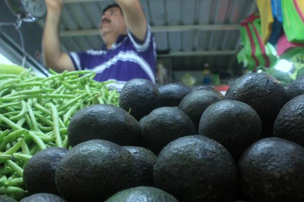 El Gobierno de México confía en que se resolverá con Estados Unidos las exportaciones de aguacate.