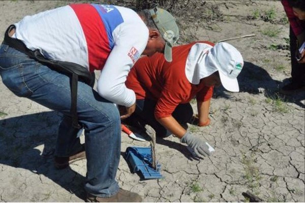 Minimizan exterminio en zona de Coahuila