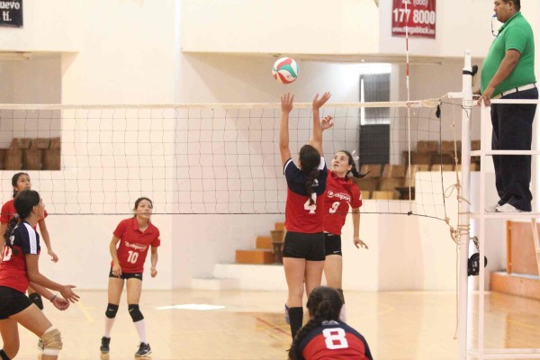 El voleibol de sala será este sábado.