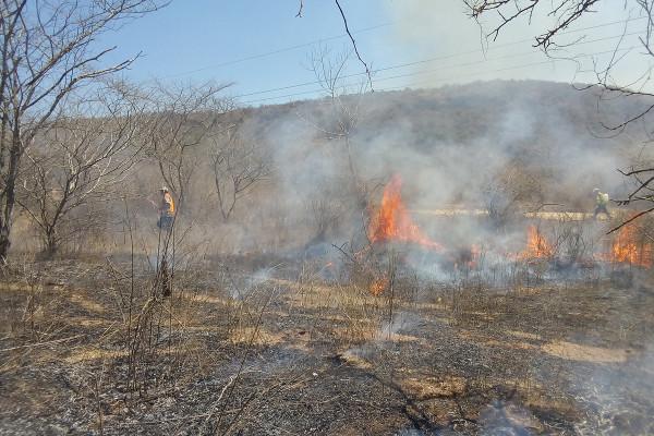 En cifras un total de 43 incendios durante estos cinco meses del año.