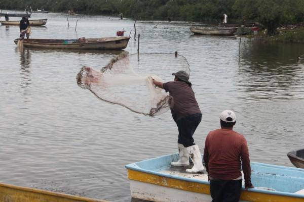 Laguna El Huizache.