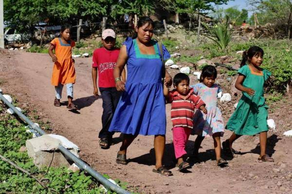 Anunció una iniciativa para la creación de una Ley de Derechos Lingüísticos y Culturales del Estado de Sinaloa.