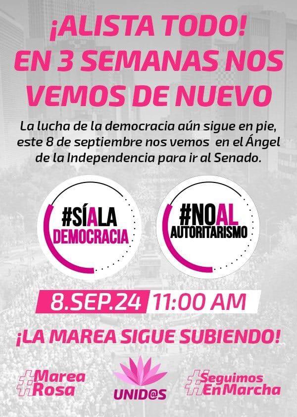 $!‘Marea Rosa’ convoca el 8 de septiembre a marcha en defensa de la democracia