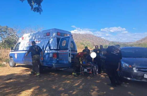 Abejas Atacan A Personas En La Noria; Dos Son Trasladadas A Hospital