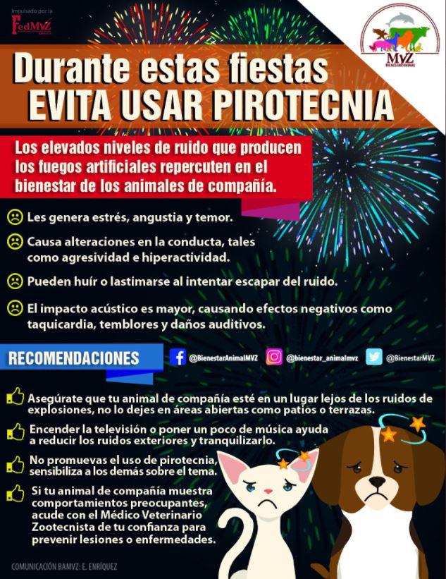 $!¿Tienes mascota? Estas medidas pueden ayudarte a protegerla de la pirotecnia en las fiestas navideñas