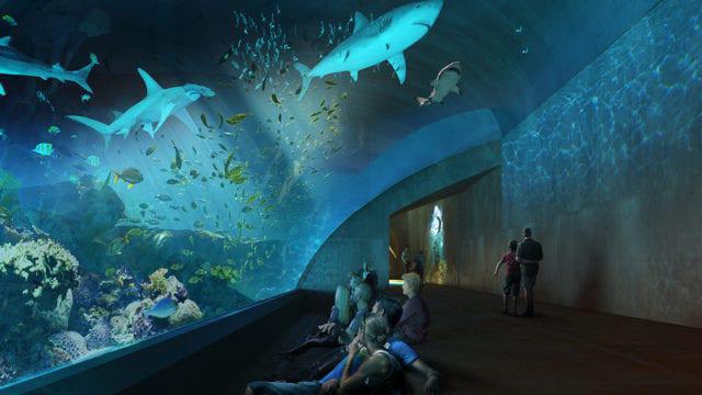 $!Nuevo Acuario Mazatlán.