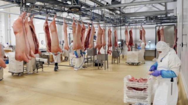 México Entre Los Principales Productores Y Consumidores De Carne De Cerdo En América Latina Y 9649