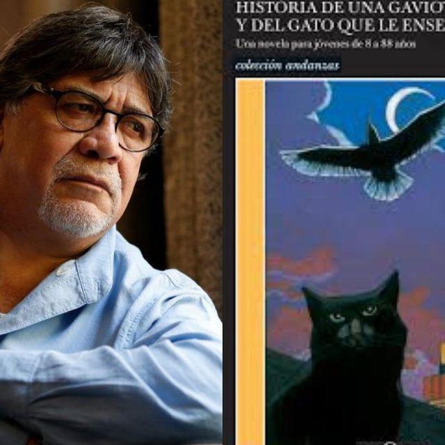 $!Día Internacional del Gato: Inspiran los felinos a los escritores