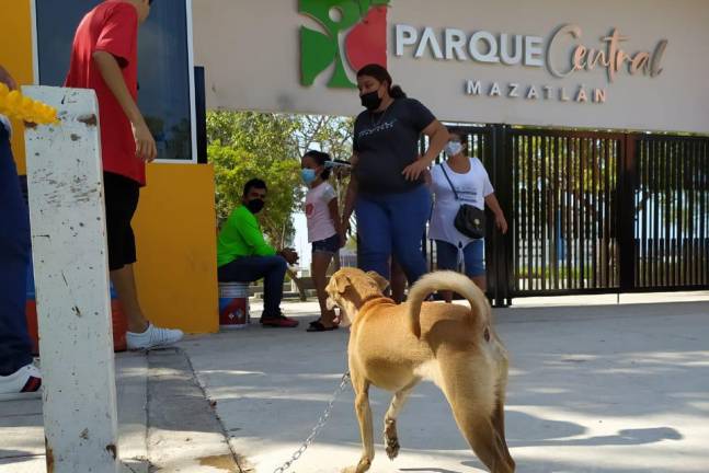 Un área del Parque Central de Mazatlán servirá para atender a animales domésticos e incluso fauna silvestre.