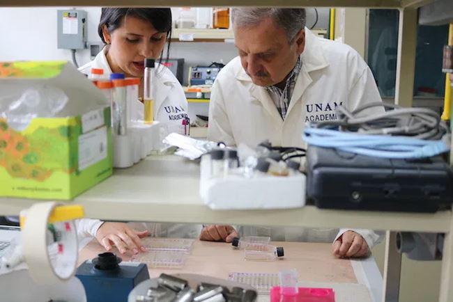 $!La vacuna de la UNAM, que comenzará las pruebas clínicas en seres humanos en el mes de abril para que quede lista a finales de este año, tiene dos posibles nombres. Foto: Cortesía Instituto de Investigaciones Biomédicas, UNAM.