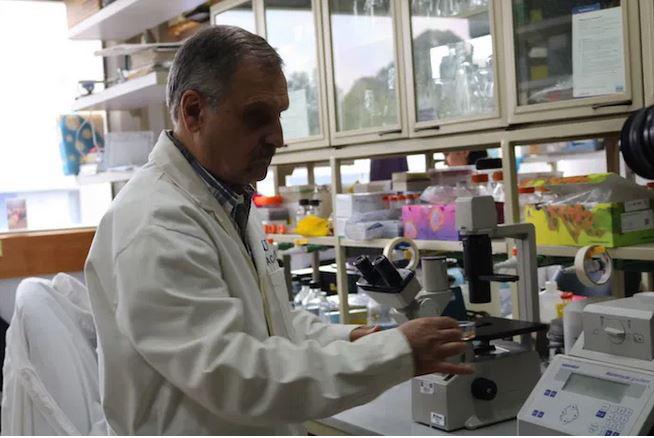 $!El profesor Juan Pedro Laclettes del Instituto de Investigaciones Biomédicas, uno de los encargados de la vacuna anti Covid de la UNAM. Foto: Cortesía Instituto de Investigaciones Biomédicas, UNAM.