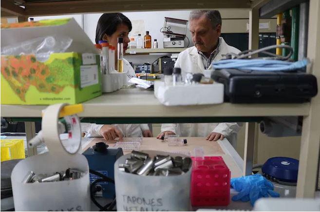 $!En la Universidad Nacional Autónoma de México hay dos candidatas de vacuna. Foto: Cortesía Instituto de Investigaciones Biomédicas, UNAM.