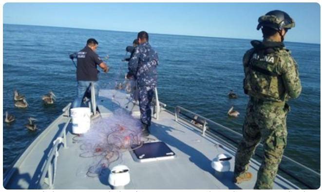 Vigilan en conjunto para evitar la pesca ilegal en agua mexicanas