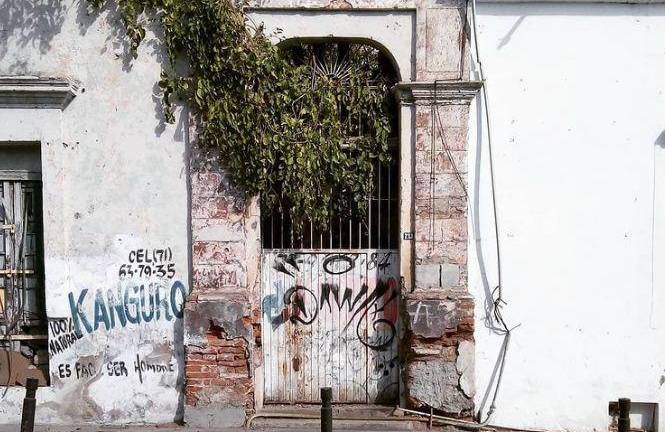 Una casona del centro de Culiacán tiene un extraño inquilino