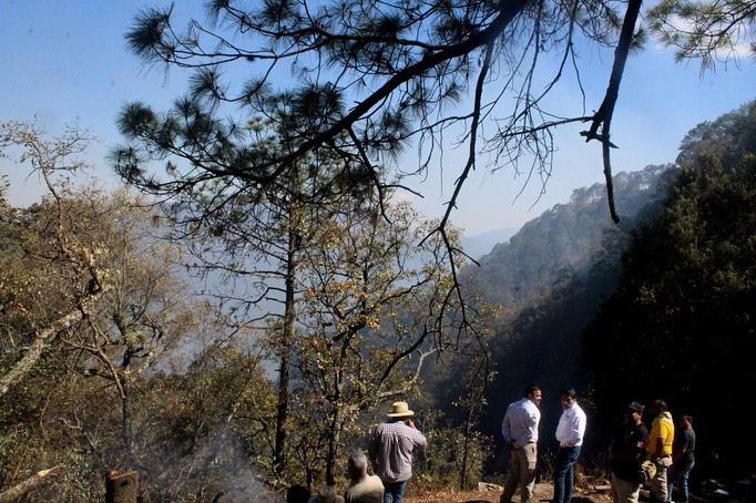 $!Arrasa incendio con más de 100 hectáreas en la sierra de Concordia