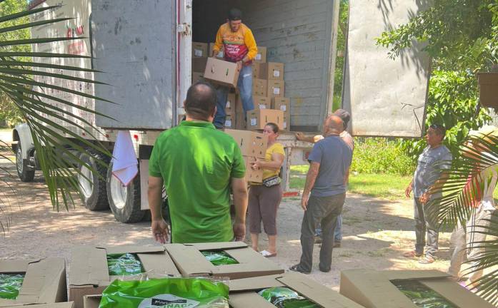 Llevan Gobierno y Banco de Alimentos más de 500 despensas a familias en zonas de desabasto